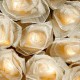 Cabbage Rose - 20 Lamps<br />Natural Cream
