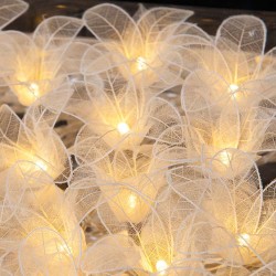 Fascinator Lilies - 20 Lamps