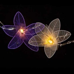 Fascinator Lilies - 20 Lamps
